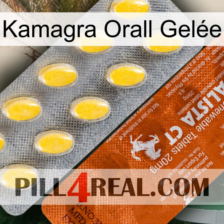 Kamagra Orall Gelée 42